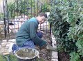 Barry_garden_1